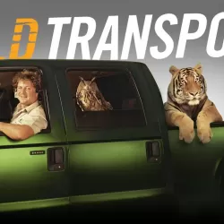 Wild Transport