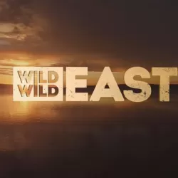 Wild Wild East