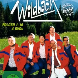 Wildbach