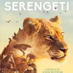 Wildlife In Serengeti