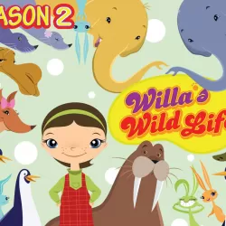 Willa's Wild Life