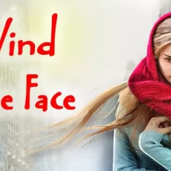 Wind in the Face
