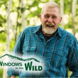 Windows to the Wild