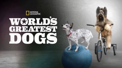 World's Greatest Dogs