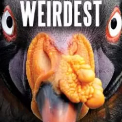 World's Weirdest