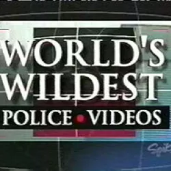 World's Wildest Police Videos