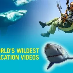 World's Wildest Vacation Videos