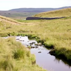 Writing Yorkshire