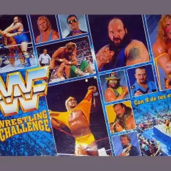 WWF Wrestling Challenge